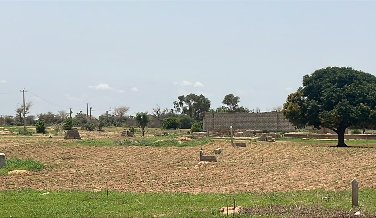 Terrain 300m2 à Malicounda 03