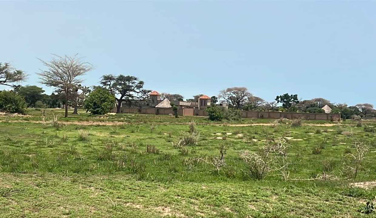 Terrains 300m2 à Mbour 02