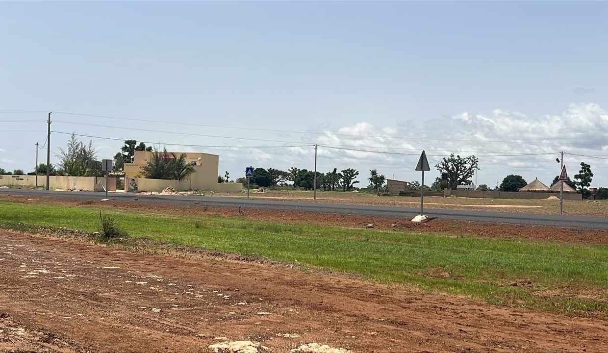 Terrains 300m2 à Mbour 05