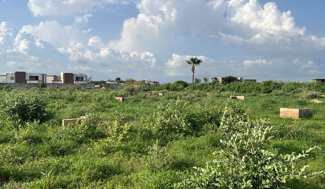 lot 250m2 à Saly 02