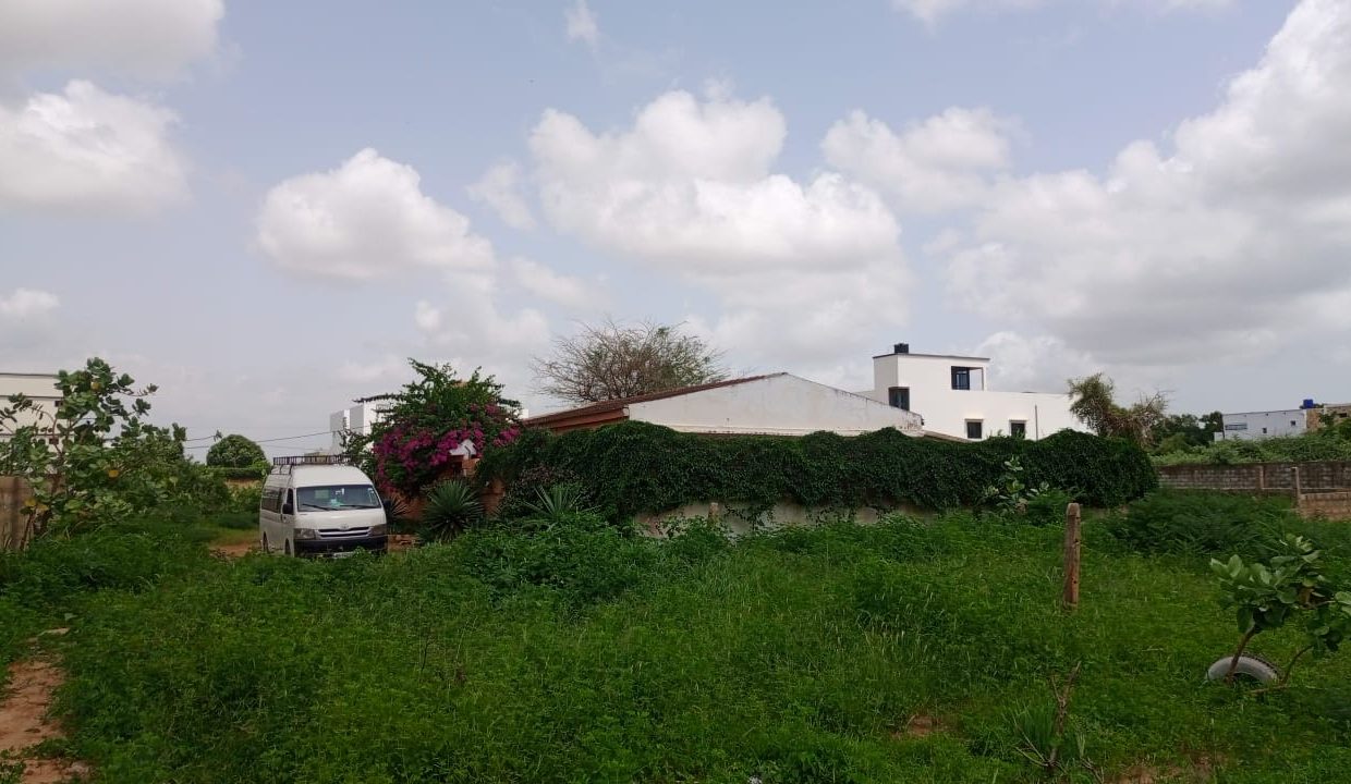 Terrain 400m2 à Saly golf 03