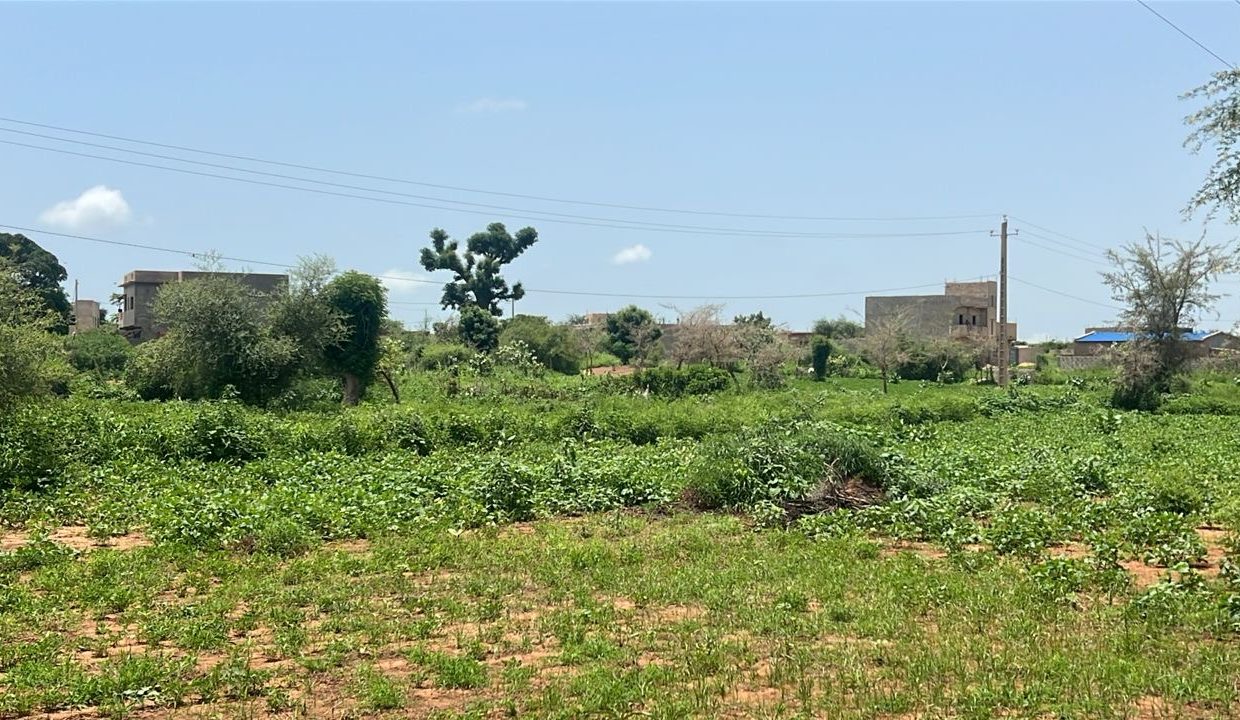 Terrain 450m2 à Kiniabour 02