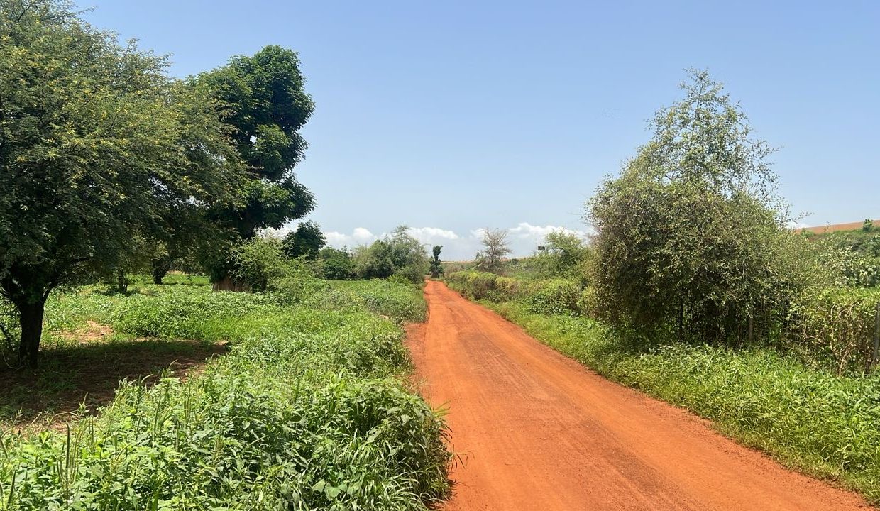 Terrain 450m2 à Kiniabour 04