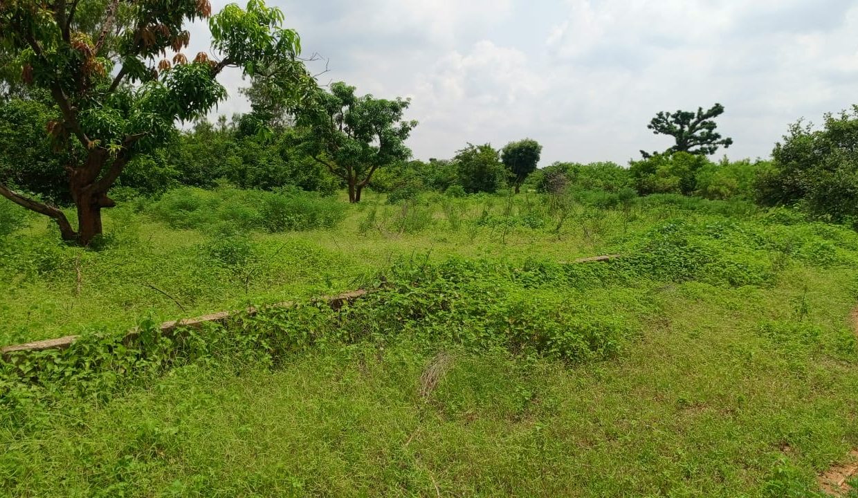 Terrain 450m2 à Sindia 01