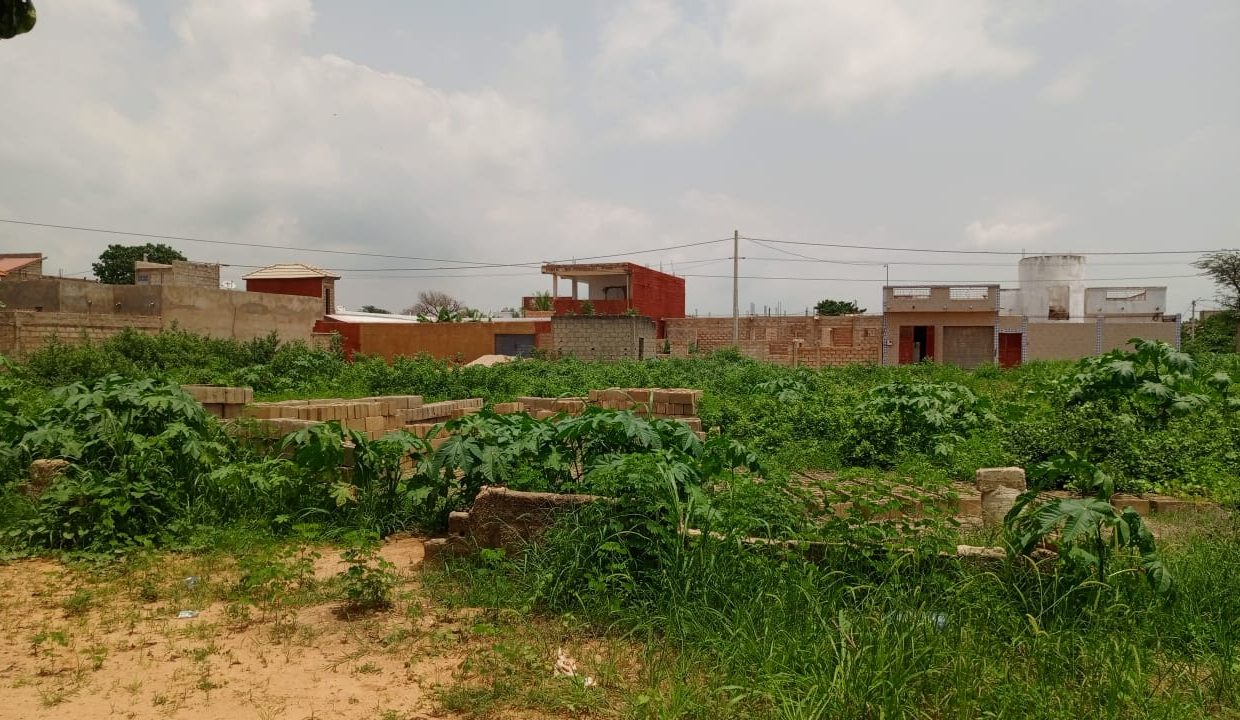 Terrain 600m2 à Gandigal 02