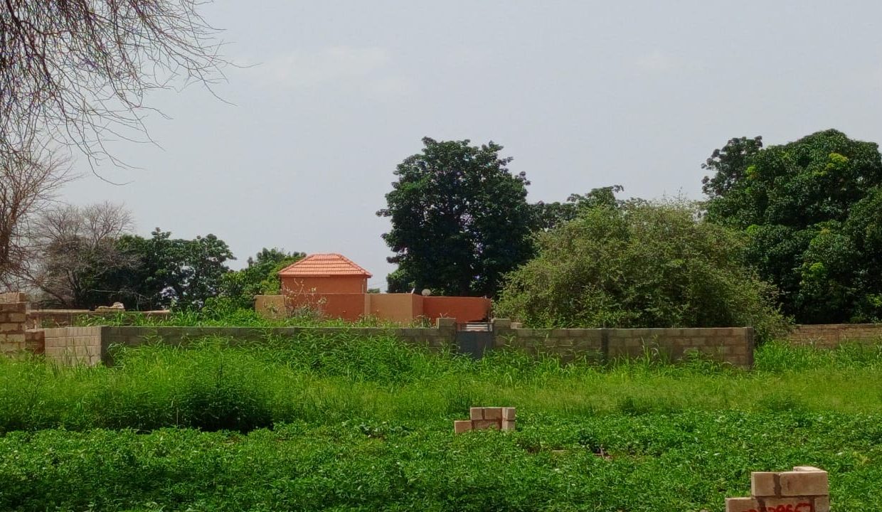 Terrains 300m2 à Malicounda Bâ 02