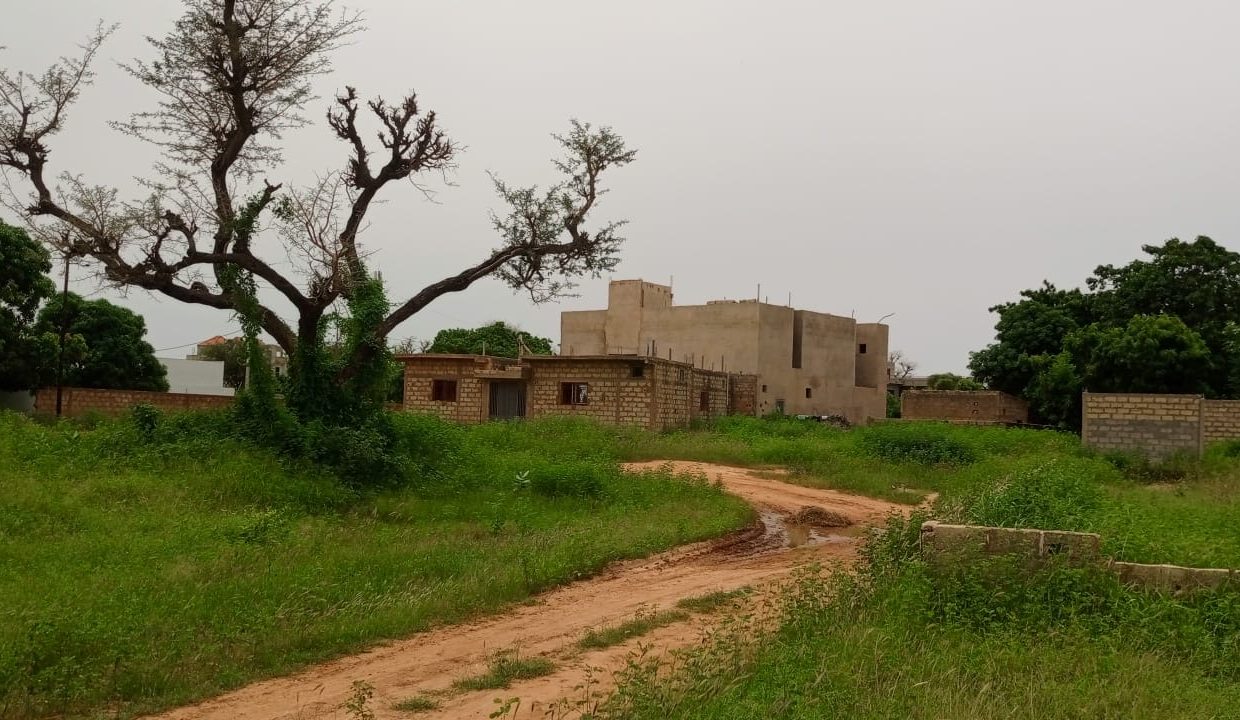 Terrains 300m2 à Saly Jo 04