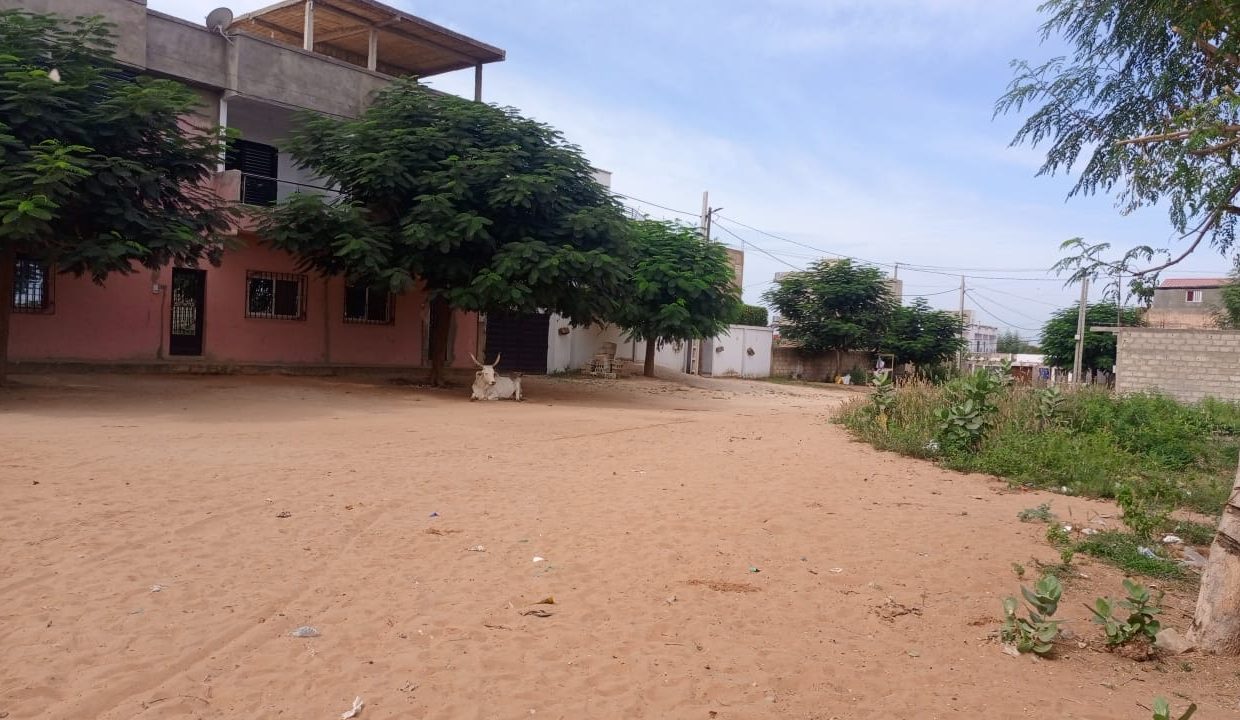 Terrain 200m2 à Saly sarou 02