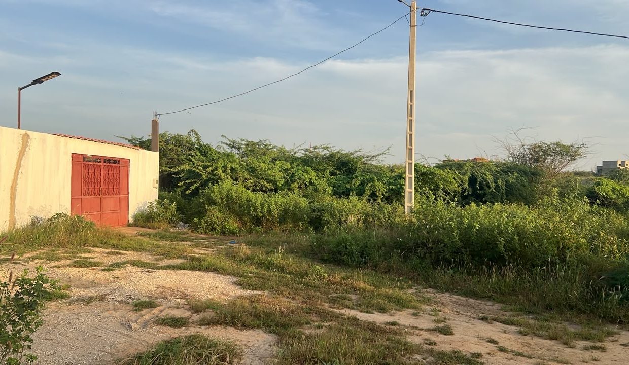 Terrain 300m2 à Ndayane 02