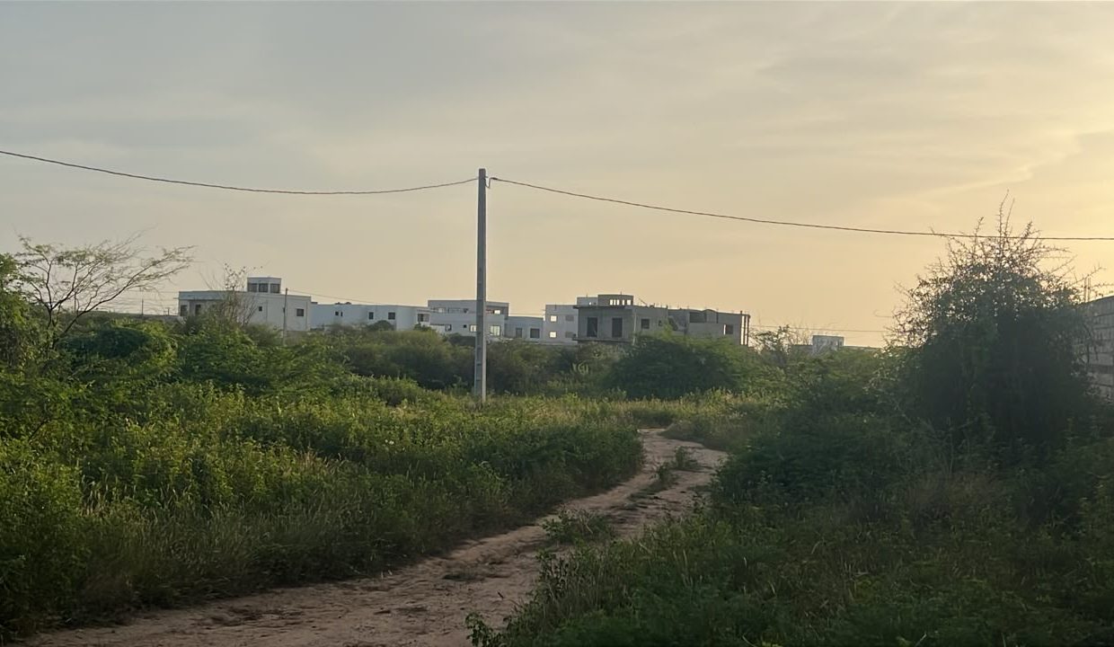 Terrain 300m2 à Ndayane 03