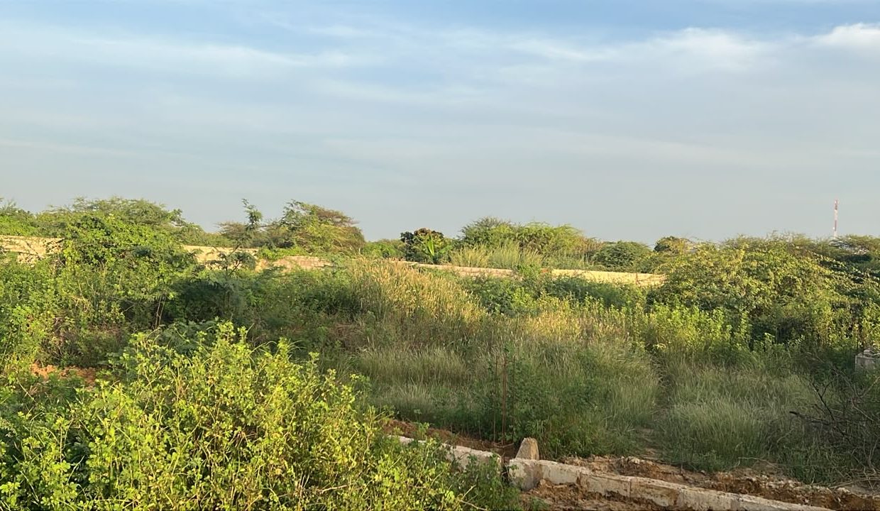 Terrain 300m2 à Ndayane 04