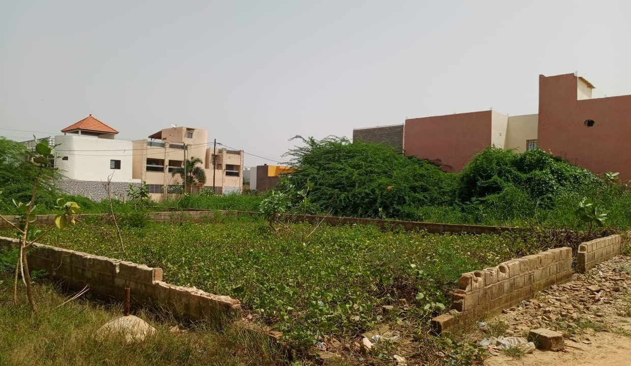 Terrain 300m2 à Saly darou 03