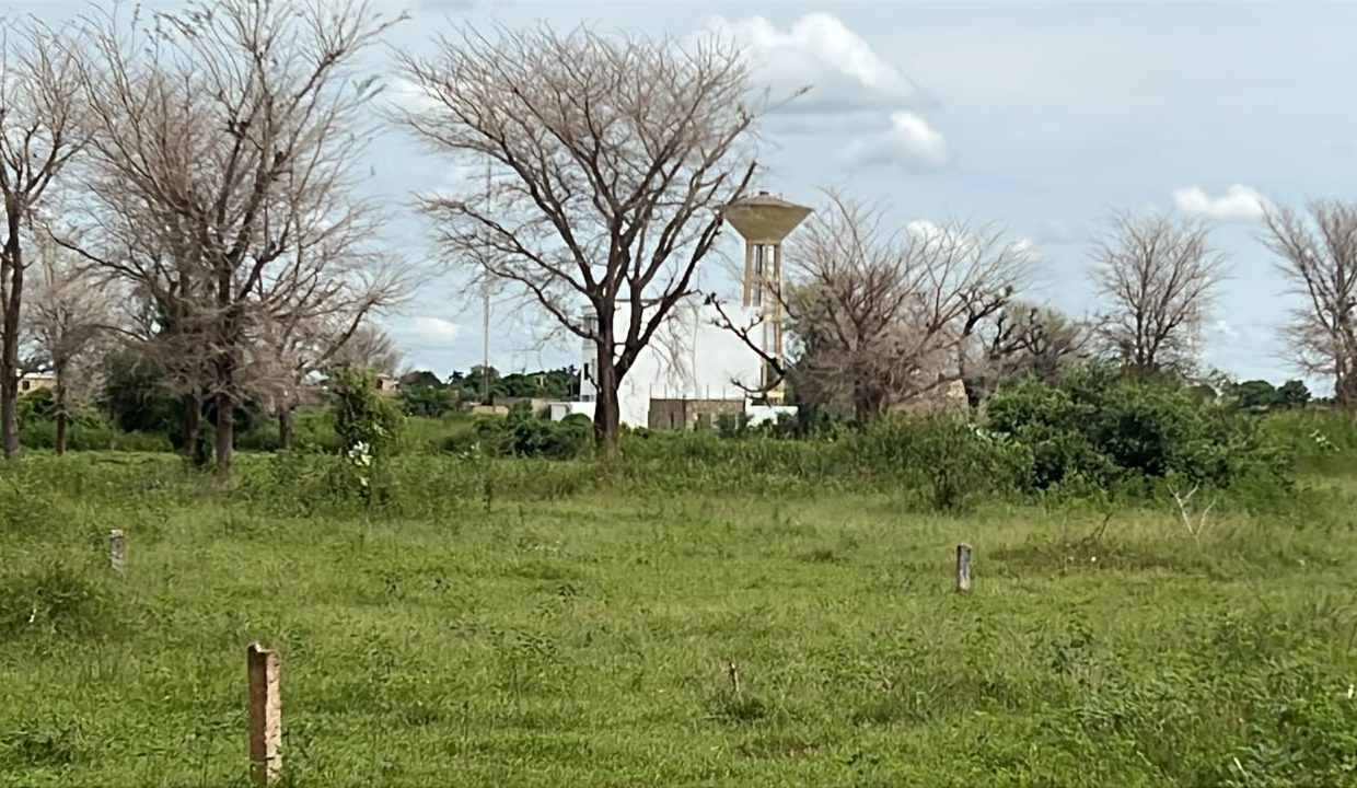 lot 225m2 à Tène toubab 01