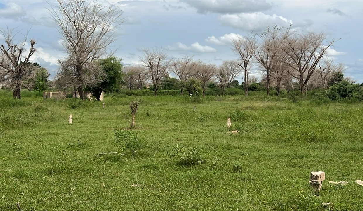 lot 225m2 à Tène toubab 02